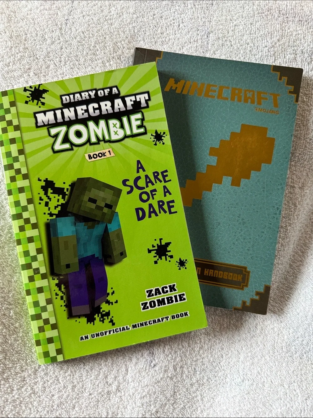 Minecraft Book Set